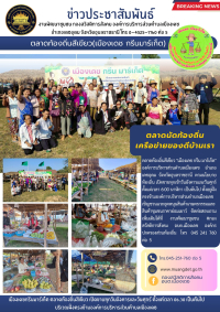 ประชาสัมพันธ์ตลาดท้องถิ่นเมืองเดช ตลาดสีเขียว ประจำปี 2568