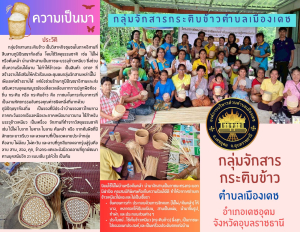 แผ่นพับประชาสัมพันธ์ส่งเสริมอาชีพ กลุ่มอาชีพด้านการสานกระติบข้าว ประจำปี 2568