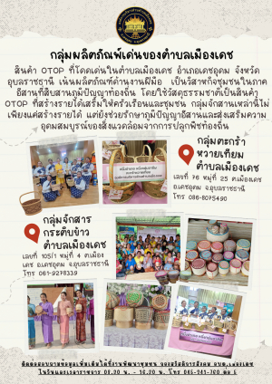 การสำรวจผลิตภัณฑ์เด่นของตำบล ฐานข้อมูลด้านอาชีพ ของตำบลเมืองเดช ประจำปี 2568