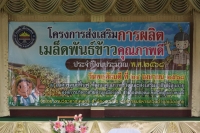 โครงการส่งเสริมการผลิตเมล็ดพันธ์ข้าวคุณภาพดี ประจำปี 2568